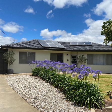 Para House, Tanunda. In The Heart Of The Barossa Valley!. Villa Buitenkant foto